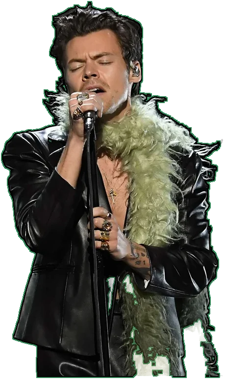 Harry Styles