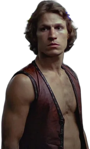 The Warriors